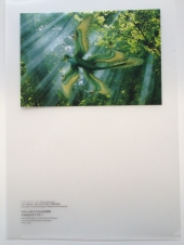 ���ꥢ�ե����륻�å�