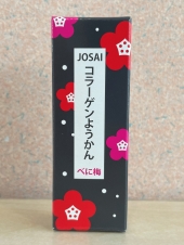 JOSAI���顼����褦���󡡤٤���̣